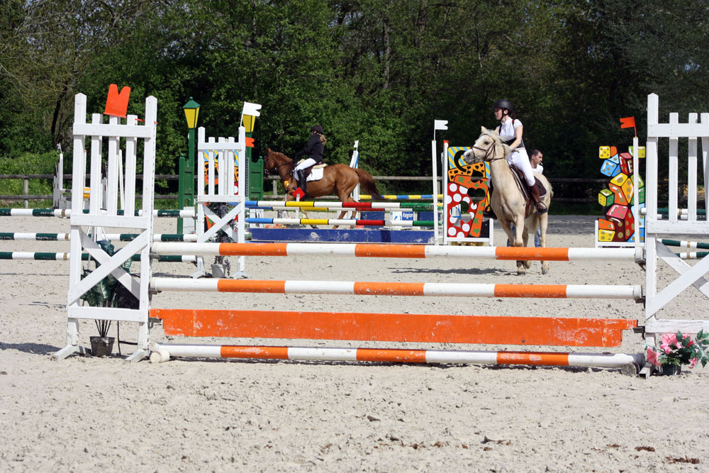   Les 2 en piste - CSO Ecluzelles - Concours départemental du 5/3/13 