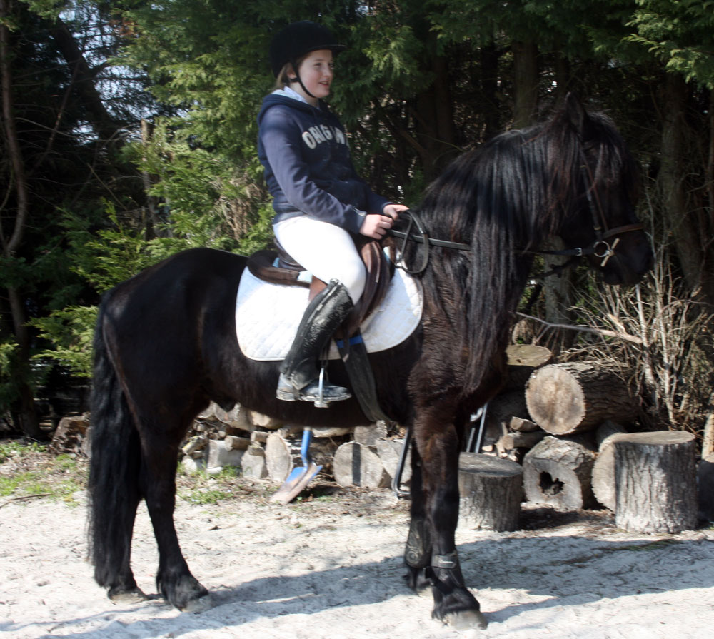  Concentration avant le parcours de CSO d\'entrainement des Ecuries du Moulin  