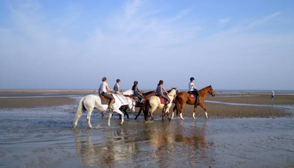  La plage, ce grand espace... 