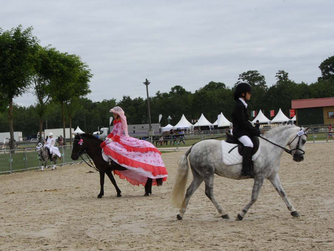  Et autour : le dressage libre 