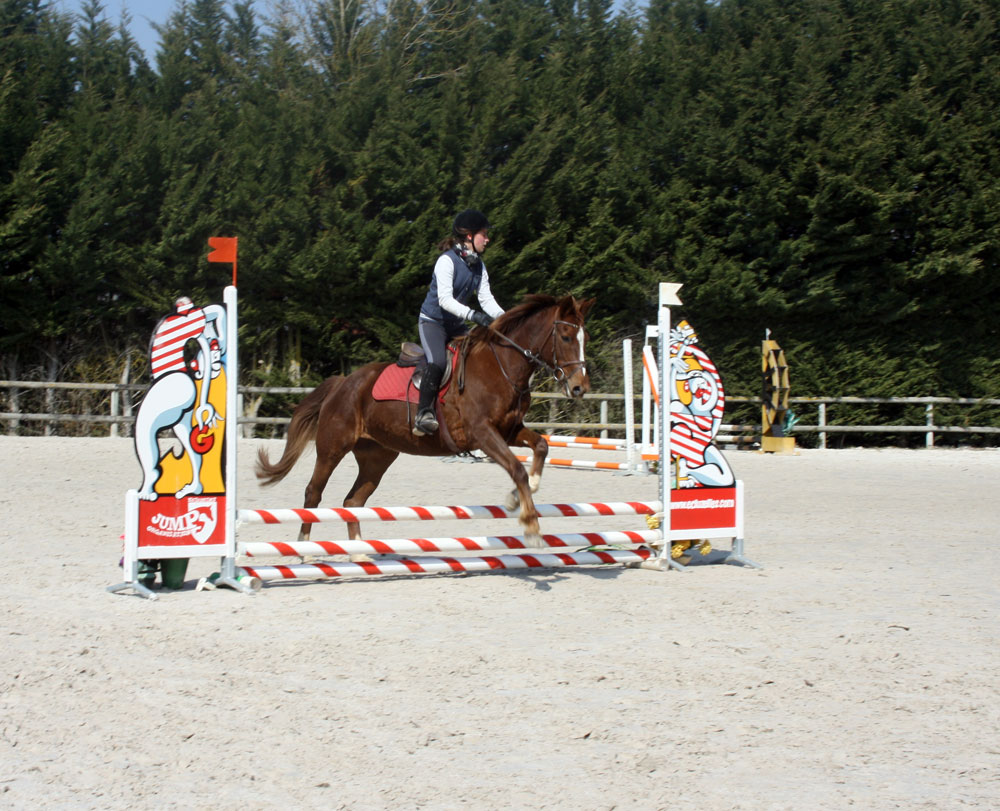  Différents parcours pour confronter cavaliers et poneys à un nouveau défi 