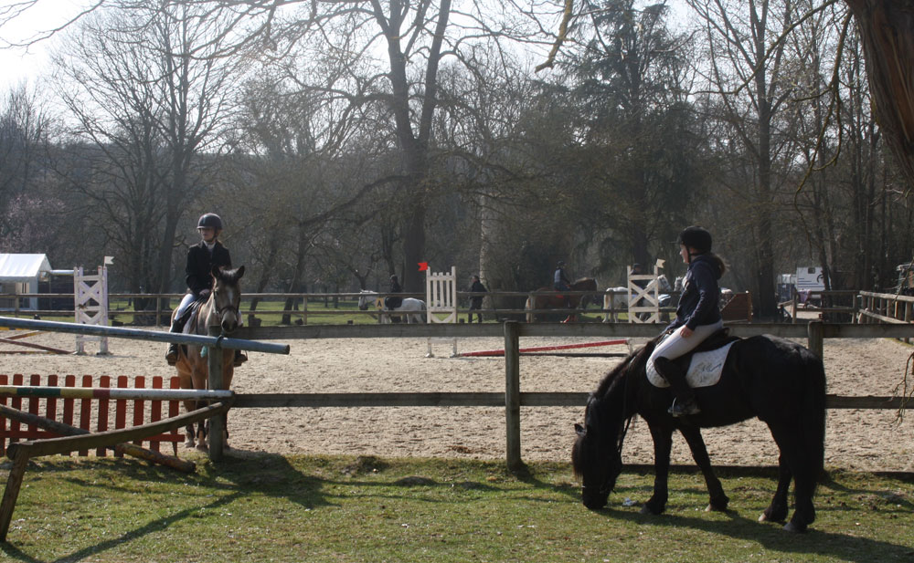  En attendant, les poneys broutent dans le parc des Ecuries  