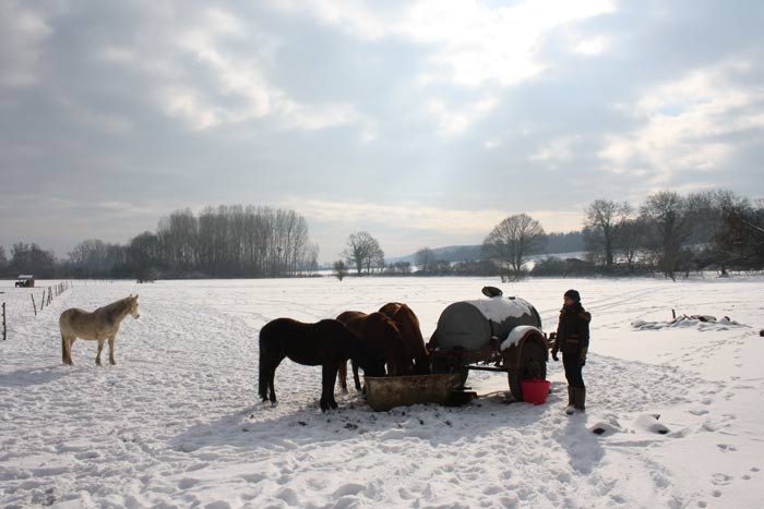  Soleil sur la neige  