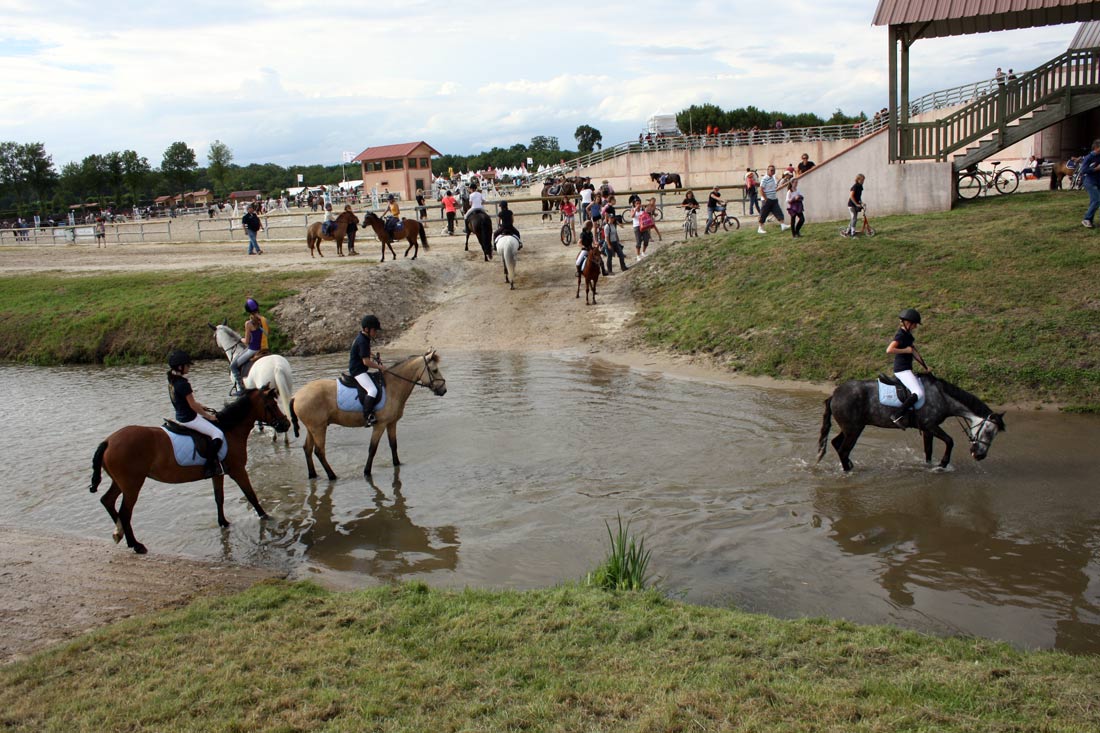  Les double poneys dans la rivière  