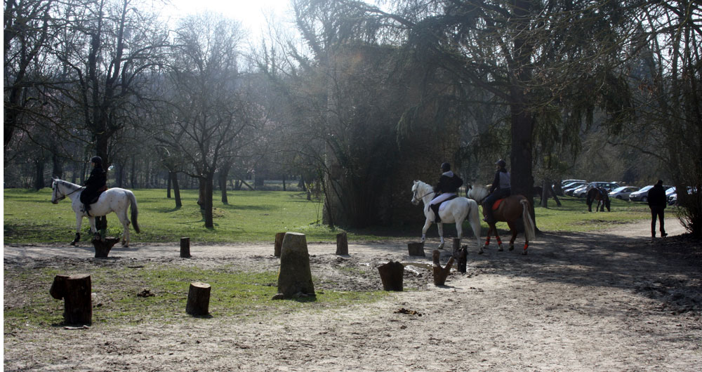  Détente dans le parc des Ecuries du moulin lors du CSO d'entrainement 