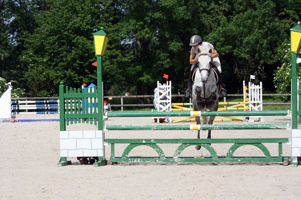  Jeune poney prometteur 