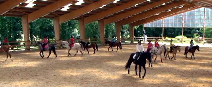  Du dressage au carrousel 