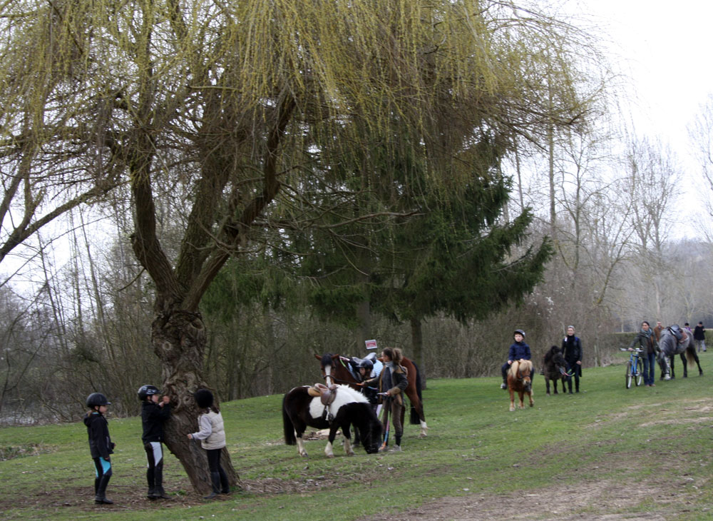  Chasse au trésor aux Ecuries du Moulin d'Ecluzelles - la recherche d'indice